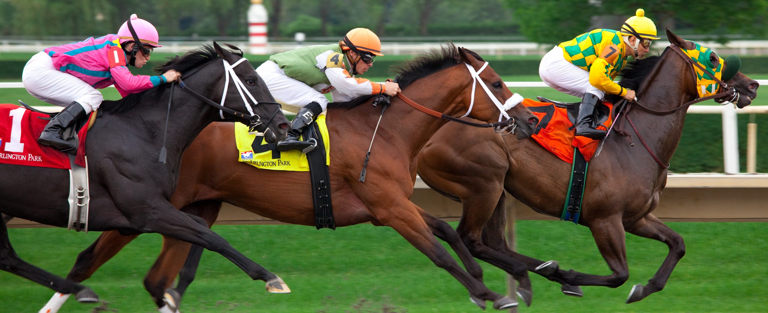 horse racing tips Melbourne