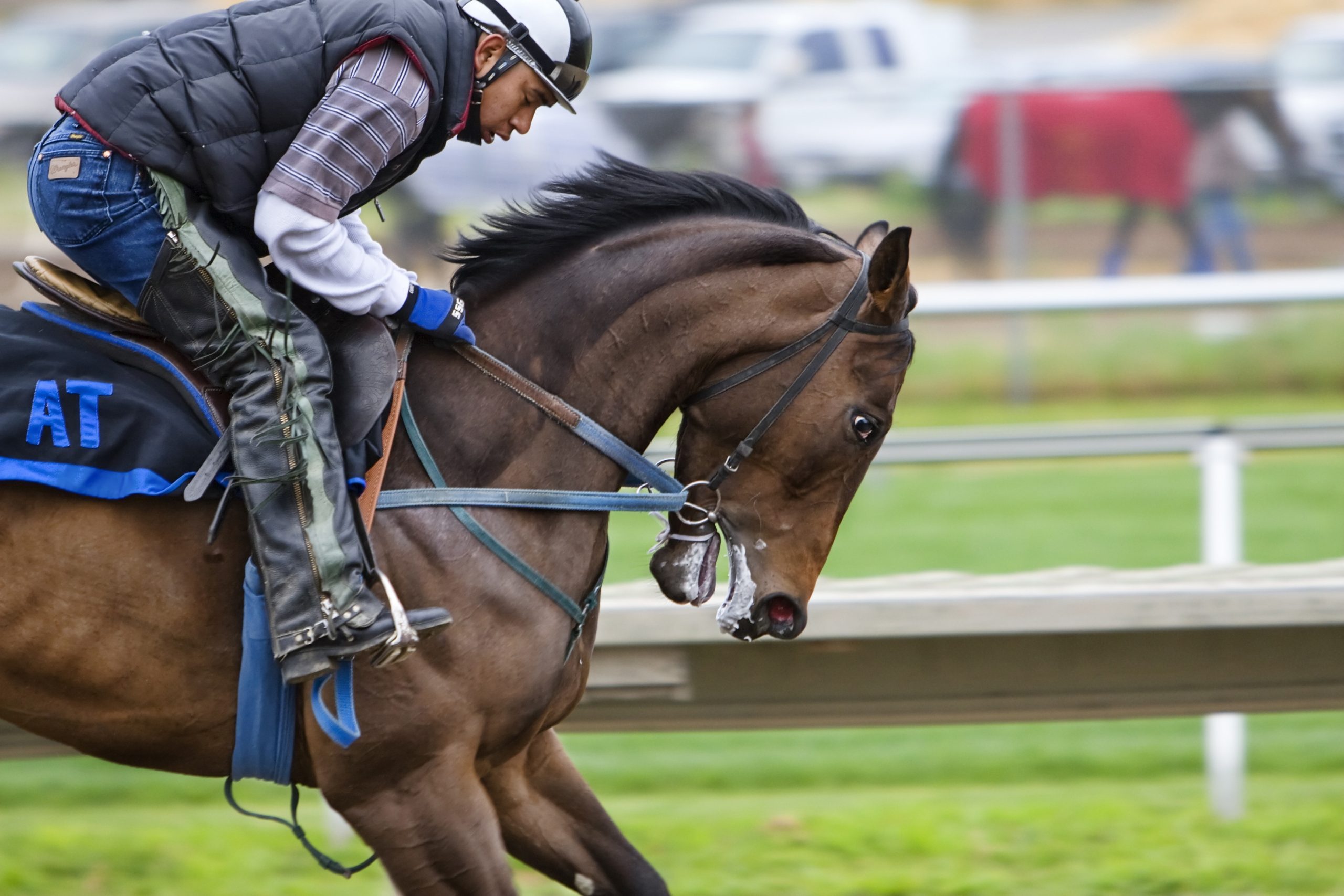 horse racing tips Melbourne