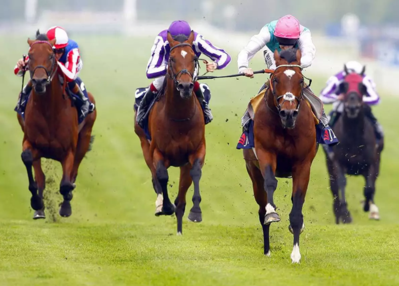 Best Horse Racing Tips