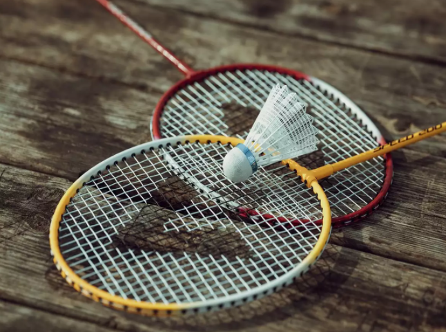 Badminton Sets