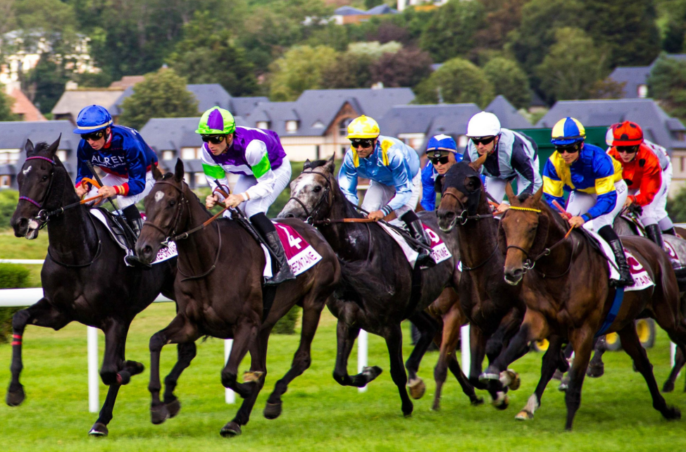 horse racing tips for Melbourne
