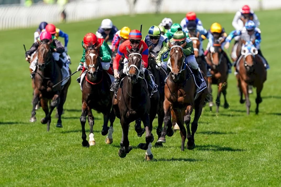 horseracing tips